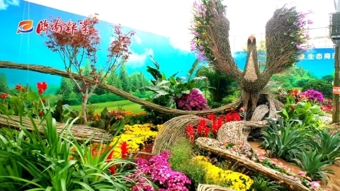 济南报业 花仙子 探花博丨在传统庭院里 感受花博会上的中国风