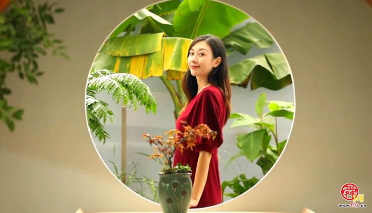 济南报业 花仙子 探花博丨在传统庭院里 感受花博会上的中国风