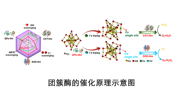 微信图片_20210111150309_副本.png